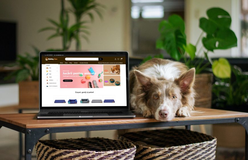 Află mai multe despre Hobby Zoo