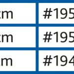 Pantof Impermeabil XXL 2 buc Rottweiler 1955
