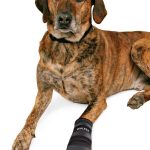 Pantofi impermeabili pentru câini M 2buc