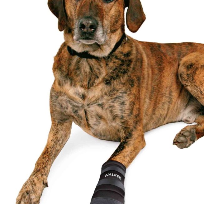 Pantof Impermeabil XXL 2 buc Rottweiler 1955