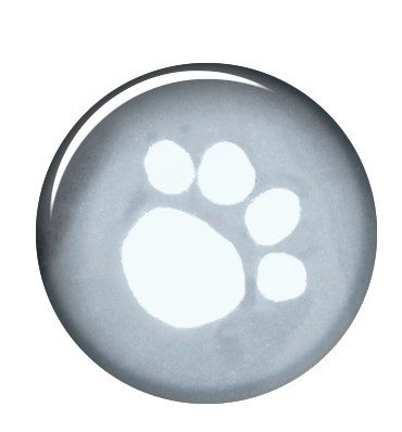 Pelerina Ploaie 55 cm L 50-73 cm 3006