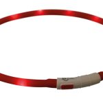 Zgarda/Led Incarcare Usb, XS-XL, 70 cm/10 mm, Rosu, 12643