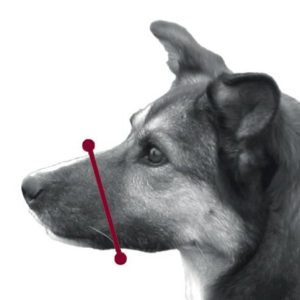 4011905192826_1-507x484