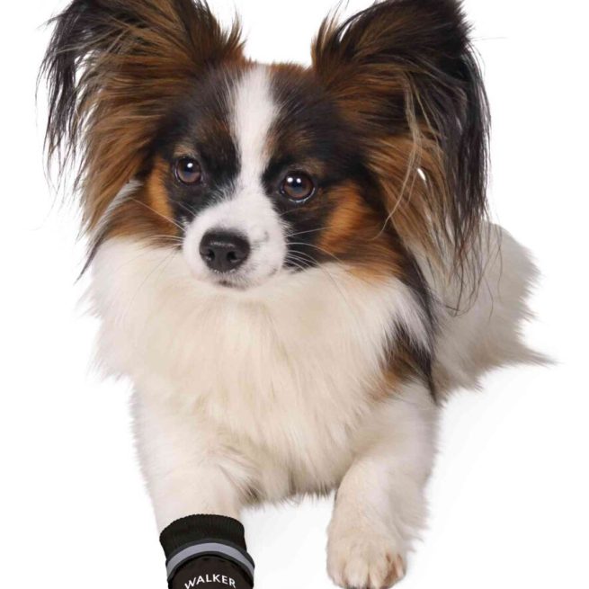 Pantof Impermeabil, L, 2 buc, 19473