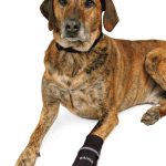 Pantof Impermeabil, L, 2 buc, 19473