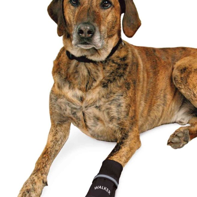 Pantof Impermeabil XL, 2 buc, 19474