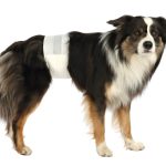 Scutece pentru câini masculi M-L 46-60cm 12buc