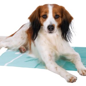 Saltea răcoritoare 90x50cm albastru