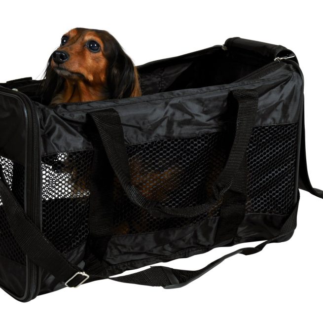 Geanta Transport 26x27x47 cm Negru/Ryan 28841