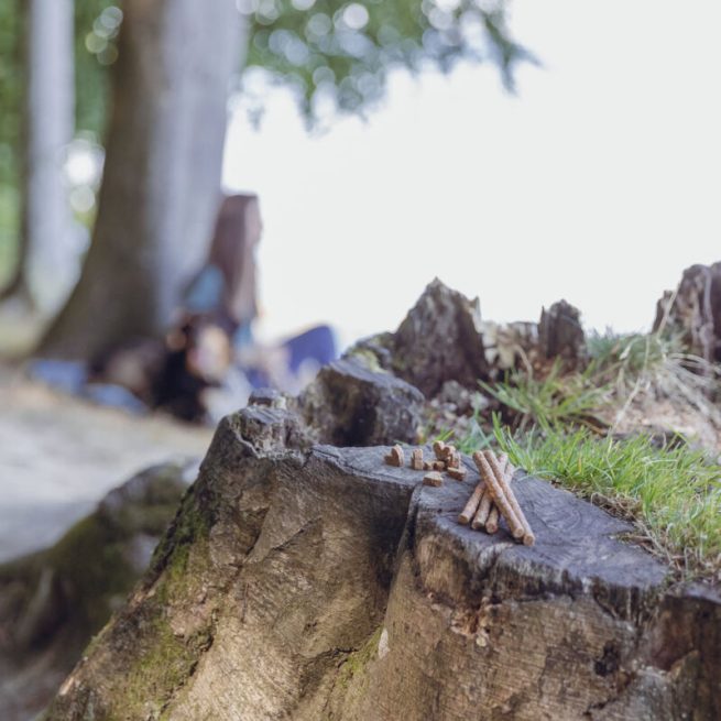 Sticksuri mono-proteice-insecte pentru căini alergici 80g