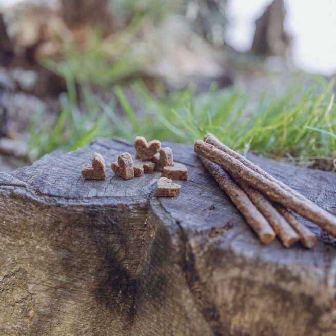 Sticksuri mono-proteice-insecte pentru căini alergici 80g