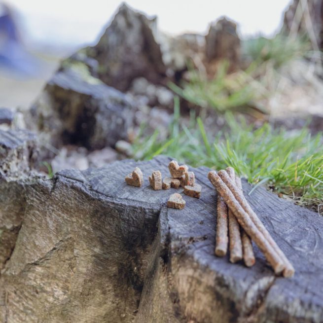 Sticksuri mono-proteice-insecte pentru căini alergici 80g