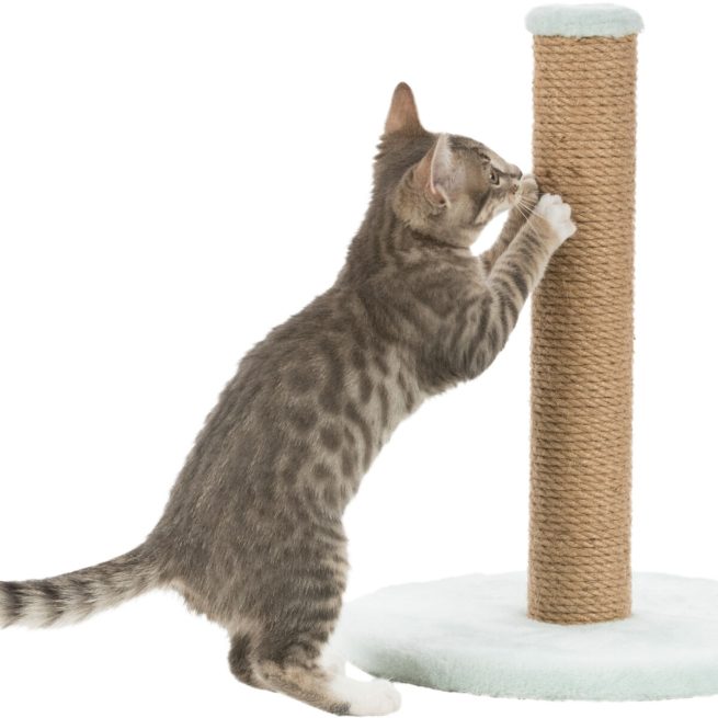 Sisal Junior Plat cu Stalp, H 42 cm, Diam. 30 cm, Menta, 42932