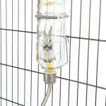 Adăpător Drinki din sticlă desenat 250ml