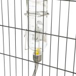 Adăpător Drinki din sticlă desenat 250ml