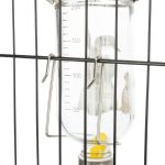 Adăpător Drinki din sticlă desenat 250ml