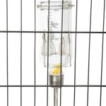 Adăpător Drinki din sticlă desenat 250ml