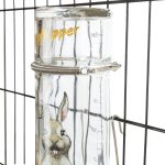 Adăpător Drinki din sticlă desenat 250ml