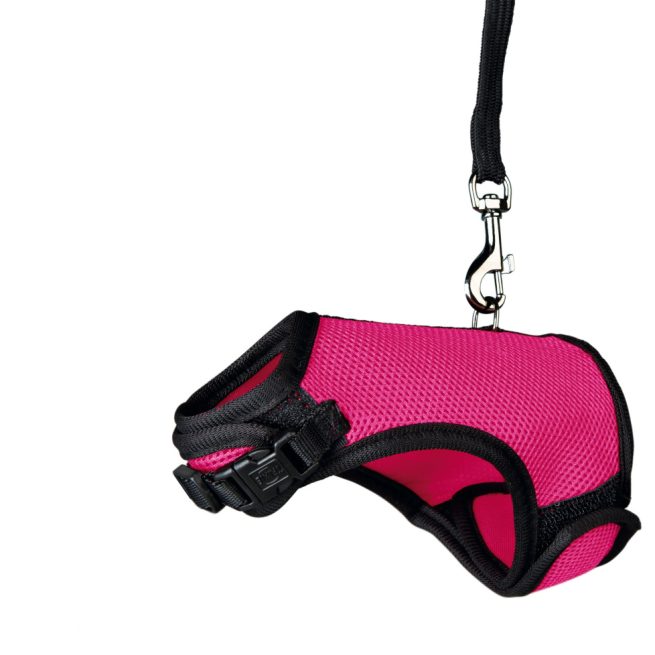 Hainuta Tip Ham si Lesa rozătoare 61512