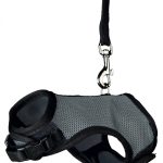 Hainuta Tip Ham si Lesa rozătoare 61512