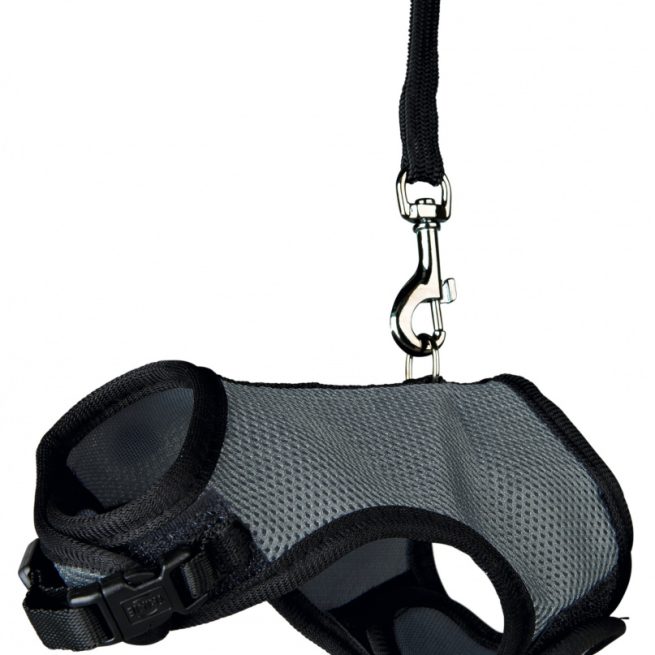 Hainuta Tip Ham si Lesa rozătoare 61512