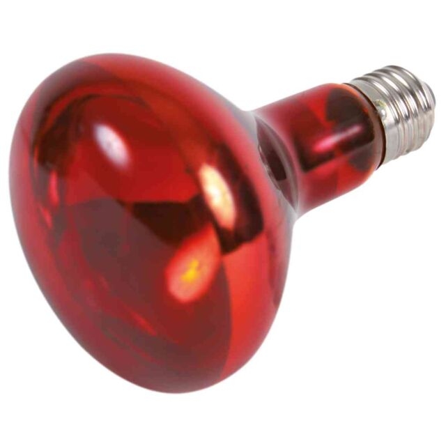 Lampa-Spot Infrarosu pentru Terariu, ø 95 x 130 mm, 150 W, 76098