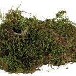 Substrat de mușchi pentru terariu 200g