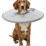 Guler protector poliester/burete XS 23-27 cm/13 cm