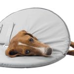 Guler protector poliester/burete XS 23-27 cm/13 cm