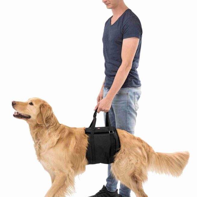 Ham suport pentru reabilitare câini L-XL 75-90cm 45kg