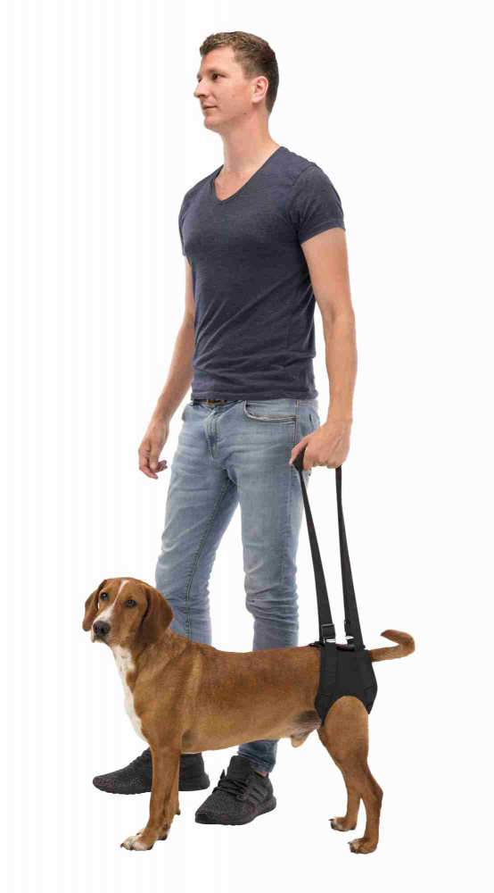 Ham reabilitare câini L-XL 75-85cm 50kg