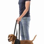 Ham reabilitare câini L-XL 75-85cm 50kg