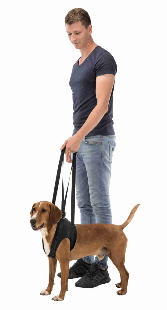 Ham reabilitare câini L-XL 75-85cm 50kg