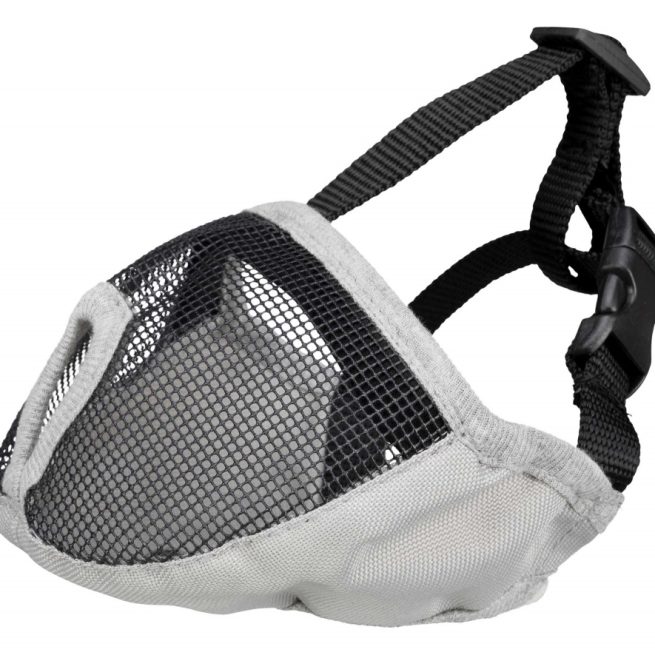 Botniță pentru câini cu bot scurt(turtit)