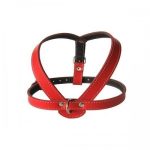 Ham L2 Piele Captusit 53-59 cm/16 mm - Rosu