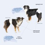 Scutece pentru câini masculi L-XL(60-80cm) 12buc