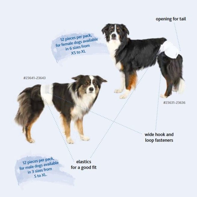 Scutece pentru câini masculi L-XL(60-80cm) 12buc