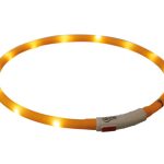 Zgardă/Led XS-XL 70 cm/10 mm portocalie încărcare USB