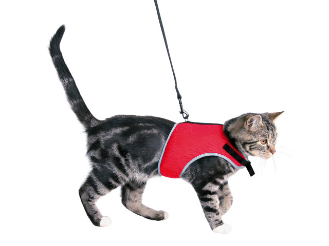 Ham și lesă pentru pisici 1.2m 24-42cm