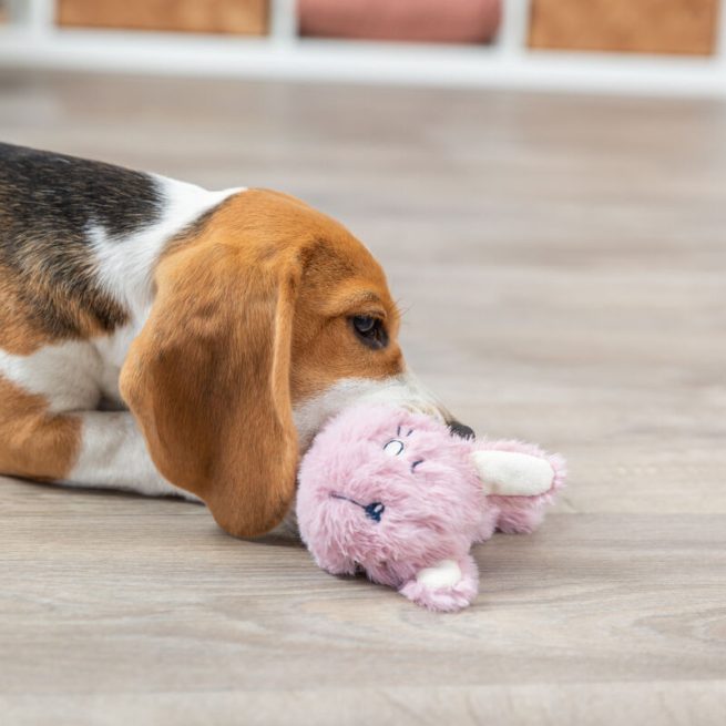 Jucărie iepuraș de pluș/TPR 14cm