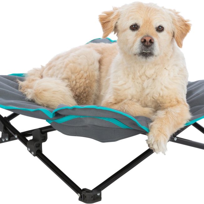 Pat camping pentru câini 69×20×69cm gri 28215