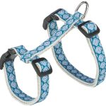 Lesă/ham pisică 27-45cm/13mm gri/albastru 1.20m