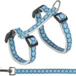 Lesă/ham pisică 27-45cm/13mm gri/albastru 1.20m