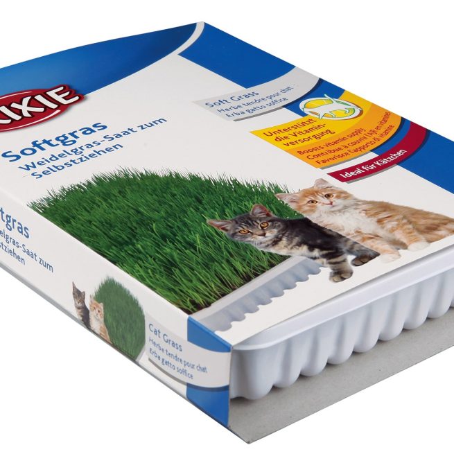 Iarba moale a pisicii 100g/castron