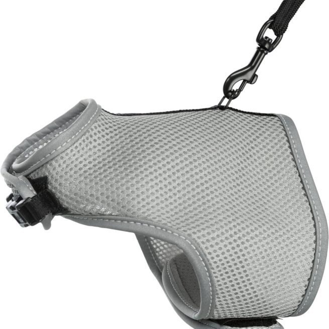 Ham și lesă pentru pisici 1.2m 24-42cm