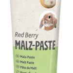 Pasta Din Malt cu Fructe de Padure pentru Rozatoare 100 g 60181