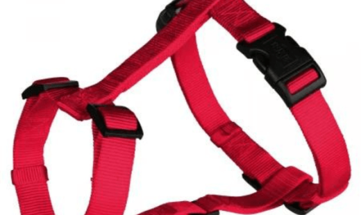 Design fără titlu-min