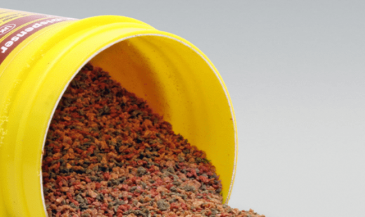 hrană pești acvariu-min