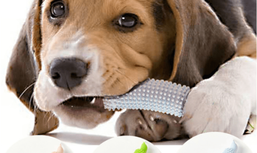 îngrijire dentară câini-min