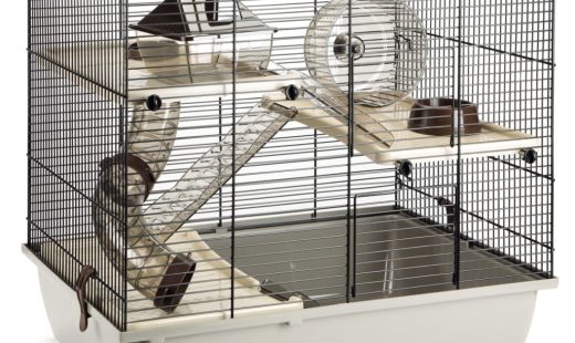 res_81b075a2e7b032ab2f6fd3570b4a1b85